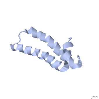 Mouse Lactate Dehydrogenase 4 (LDH4) ELISA Kit, 96T